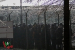 Zagłębie Sosnowiec - GKS Jastrzębie